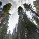 Image for article titled You Can Visit 44 National Parks From the Comfort of Google Street View